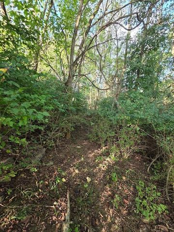 1300 Bear Creek Road, Lawrenceburg, KY 40342