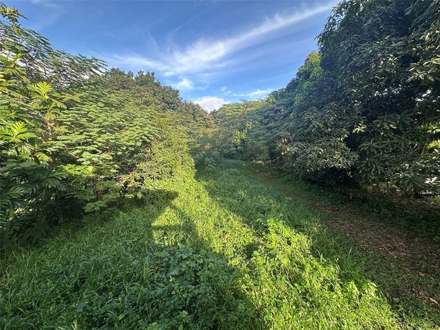 Lot 49 7TH STREET, SAINT JUST WD, Carolina, PR 00987
