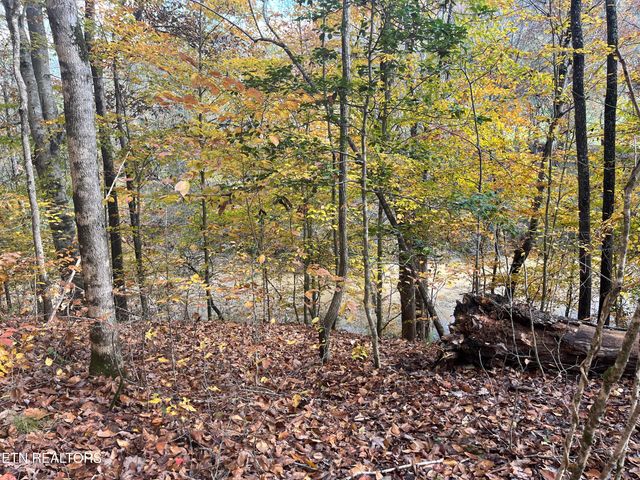 2168 Fairview Rd, Tellico Plains, TN 37385