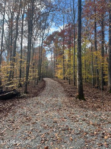 2168 Fairview Rd, Tellico Plains, TN 37385