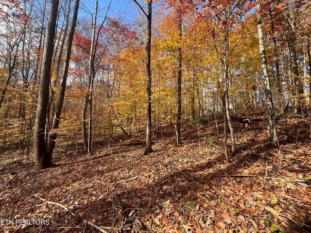 2168 Fairview Rd, Tellico Plains, TN 37385