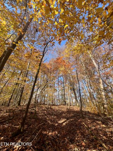 2168 Fairview Rd, Tellico Plains, TN 37385