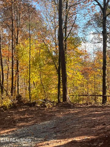 2168 Fairview Rd, Tellico Plains, TN 37385