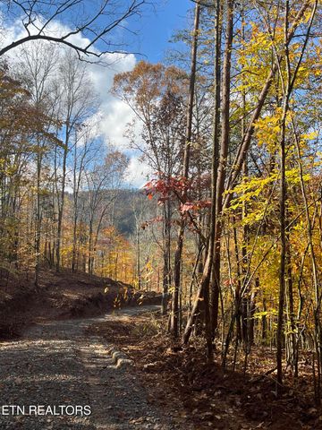 2168 Fairview Rd, Tellico Plains, TN 37385