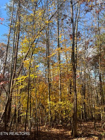 2168 Fairview Rd, Tellico Plains, TN 37385