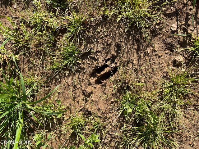 2168 Fairview Rd, Tellico Plains, TN 37385