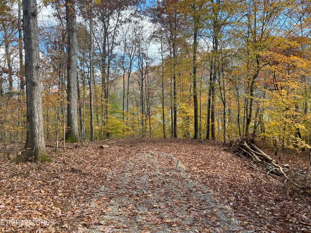 2168 Fairview Rd, Tellico Plains, TN 37385