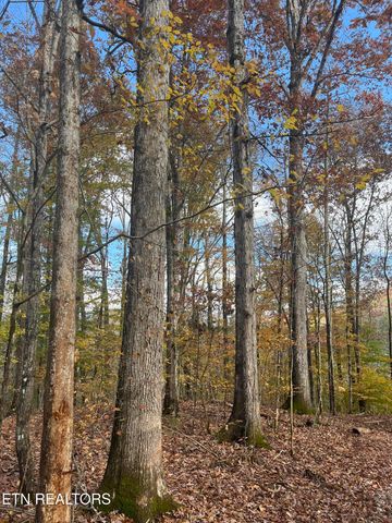 2168 Fairview Rd, Tellico Plains, TN 37385