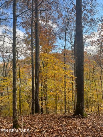 2168 Fairview Rd, Tellico Plains, TN 37385