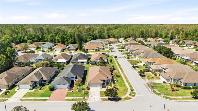 1615 ORCHARDGROVE AVENUE, New Port Richey, FL 34655