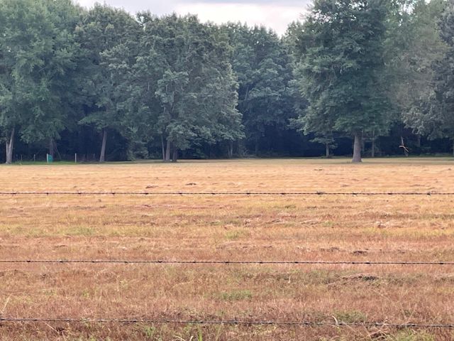 TBD ACR 336, Frankston, TX 75763