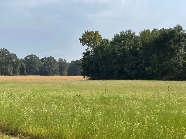 TBD ACR 336, Frankston, TX 75763