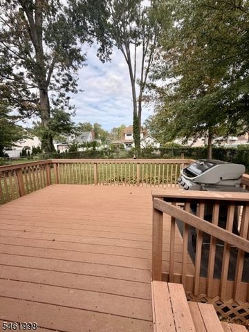 206 Delacy Dr, North Plainfield Boro, NJ 07060