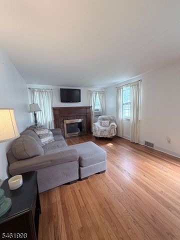 206 Delacy Dr, North Plainfield Boro, NJ 07060