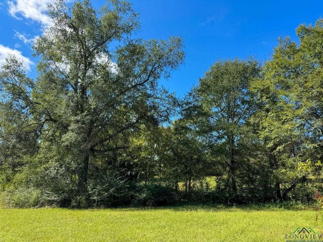 4267 FM 96, Atlanta, TX 75551