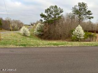 334 W Byhailia Creek Farm Road, Byhalia, MS 38611