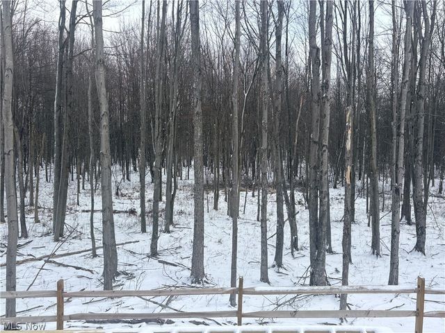 4127 Averi Lane, Orange, OH 44122