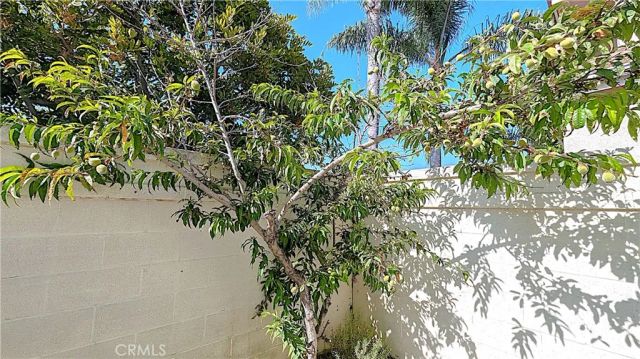 8204 Constantine Drive, Huntington Beach, CA 92646