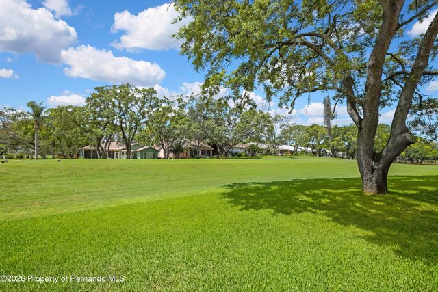 6333 Pine Meadows Drive, Spring Hill, FL 34606