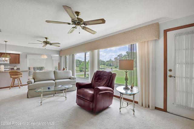 6333 Pine Meadows Drive, Spring Hill, FL 34606
