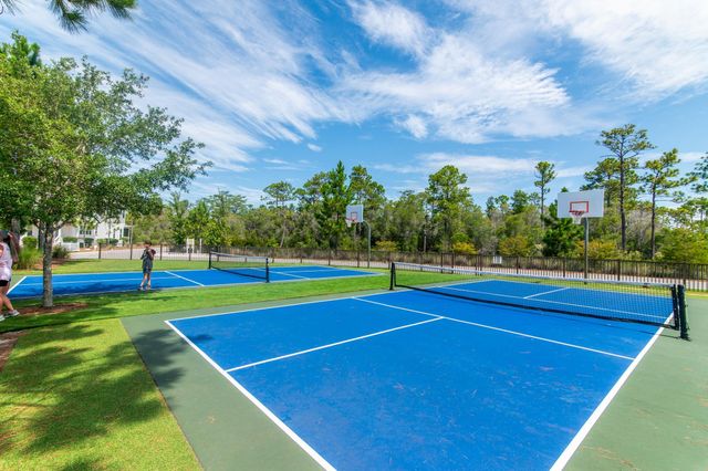 110 Prairie Pass, Santa Rosa Beach, FL 32459
