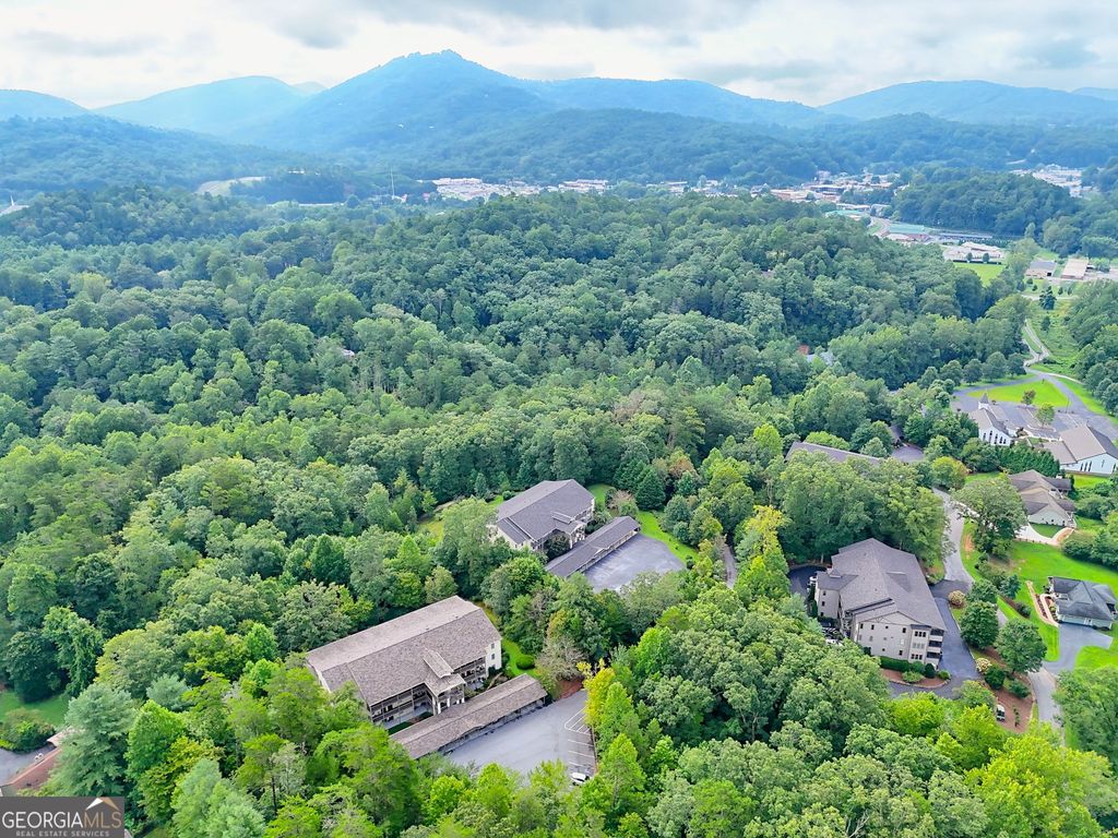 300 Ginger Creek Lane 203, Clayton, GA 30525