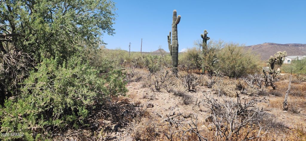 42XXX N 7th Avenue 0, New River, AZ 85087 — photo 5