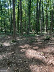 46 Davis Road, Hiram, GA 30141