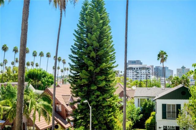125 W Mountain Street 203, Glendale, CA 91202