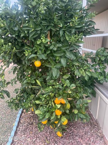 11425 E UNIVERSITY Drive 49, Apache Junction, AZ 85120