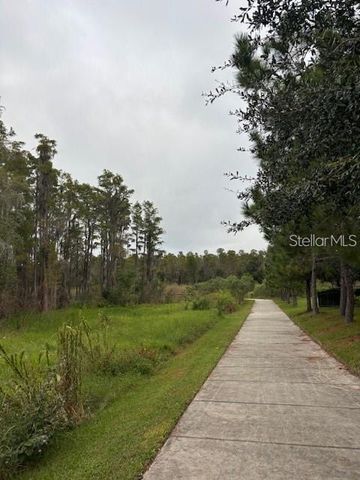 15090 CARAVAN AVENUE, Odessa, FL 33556