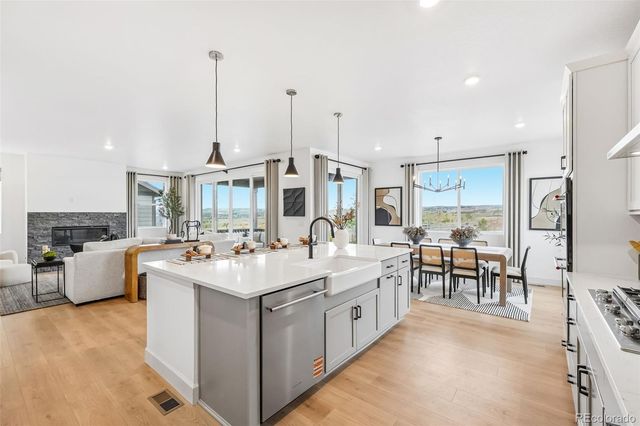 13272 Finnhorse Street, Parker, CO 80134