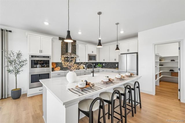 13272 Finnhorse Street, Parker, CO 80134