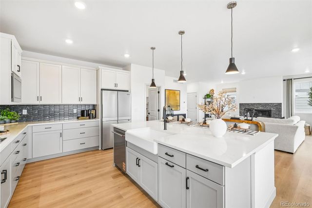 13272 Finnhorse Street, Parker, CO 80134