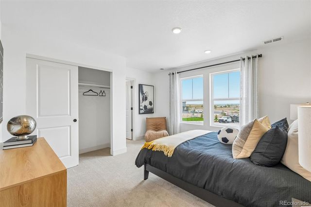 13272 Finnhorse Street, Parker, CO 80134