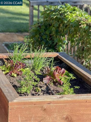 6555 Saroni Dr, Oakland, CA 94611