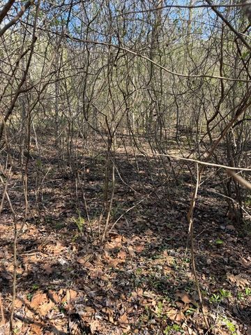 Lot 16-N High Meadows Drive, Hayesville, NC 28904