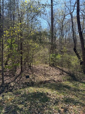 Lot 16-N High Meadows Drive, Hayesville, NC 28904