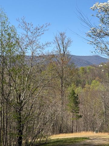 Lot 16-N High Meadows Drive, Hayesville, NC 28904