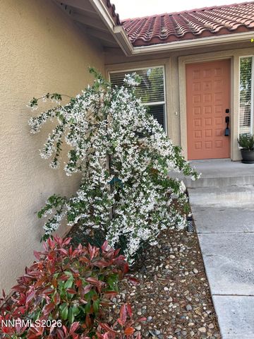 207 La Costa Avenue, Dayton, NV 89403