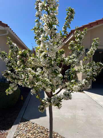 207 La Costa Avenue, Dayton, NV 89403