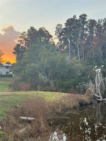 4786 FOX HUNT DRIVE D743, Wesley Chapel, FL 33543