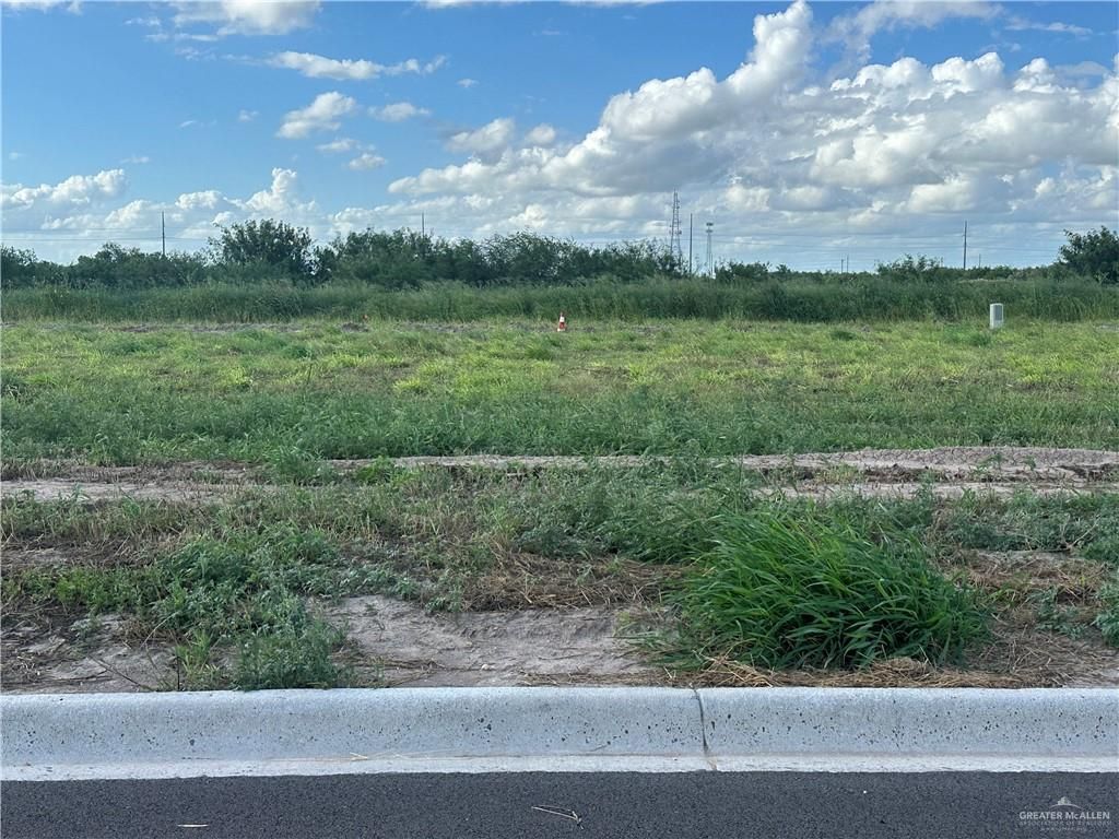 Lot 24 Stanford Street, Donna, TX 78537