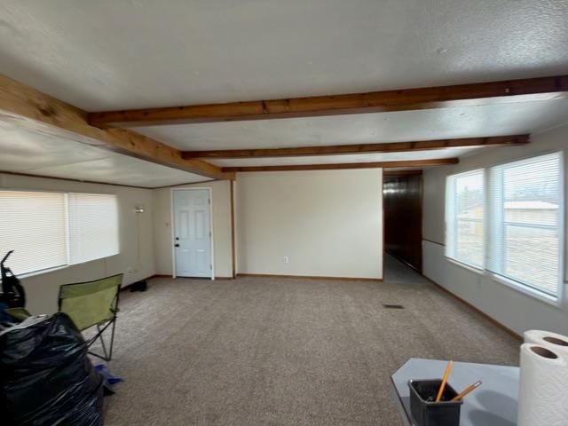 7820 Newberry Road, Alger, MI 48610