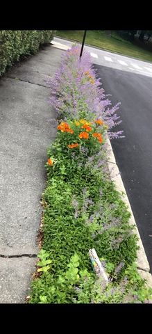 1083 Walnut St, Newton, MA 02461