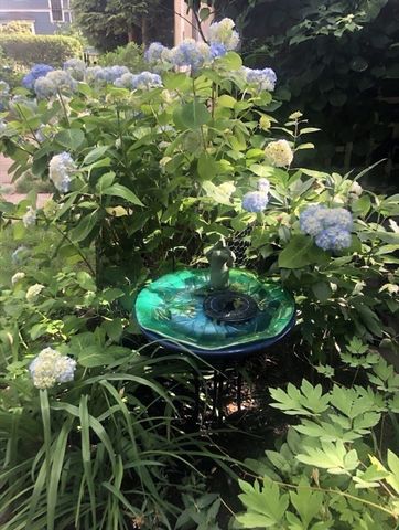 1083 Walnut St, Newton, MA 02461