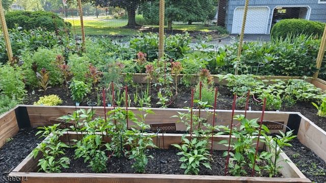 1 Cleveland Ave, Morris Plains Boro, NJ 07950