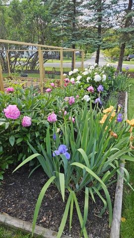 1 Cleveland Ave, Morris Plains Boro, NJ 07950