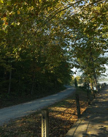 5845 Turkey Creek Rd, Waverly, TN 37185