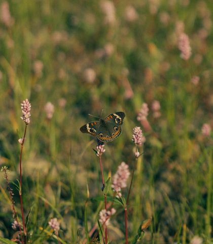 5845 Turkey Creek Rd, Waverly, TN 37185